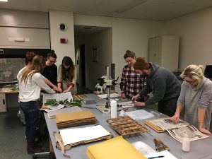 Photograph of students pressing plant specimens.