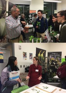 Two photos of collections managers meeting with undergraduates at Research Connections event