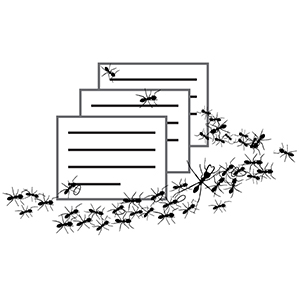 Linked to Army Ant Guest Field Cards Database 