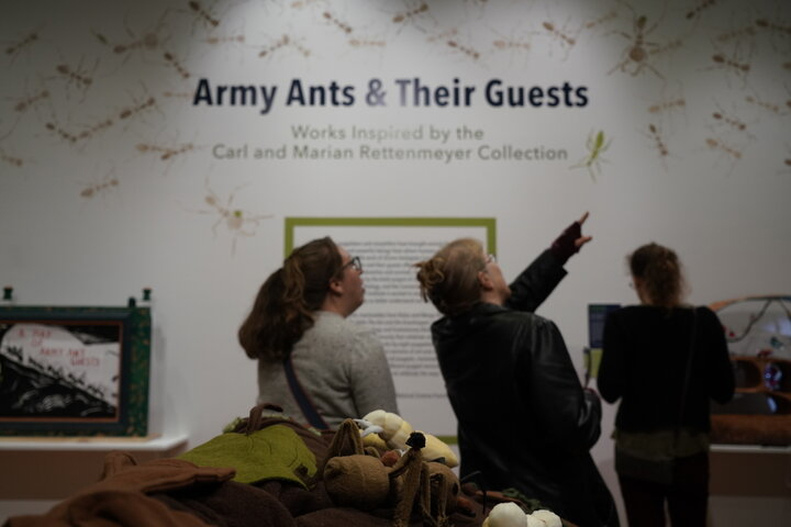 Students and members of the public attend the grand opening of the exhibit "Army Ants and Their Guests" showcased collaborative puppet work between UConn's Ecology and Evolutionary Biology and Puppetry Departments. 