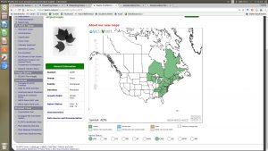 screen capture of USDA PLANTS database result for Acer pensylvanicum