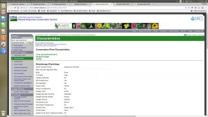 screen capture of USDA PLANTS database result for Acer pensylvanicum showing species characteristics.