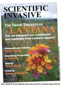 imaginary magazine cover for "Scientific Invasive" featuring a cover image of Lantana camara.