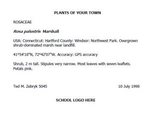 Example herbarium label showing heading, plant family and scientific name, locality information, GPS coordinates, description of plant, name of collector, date of collection, and school logo.