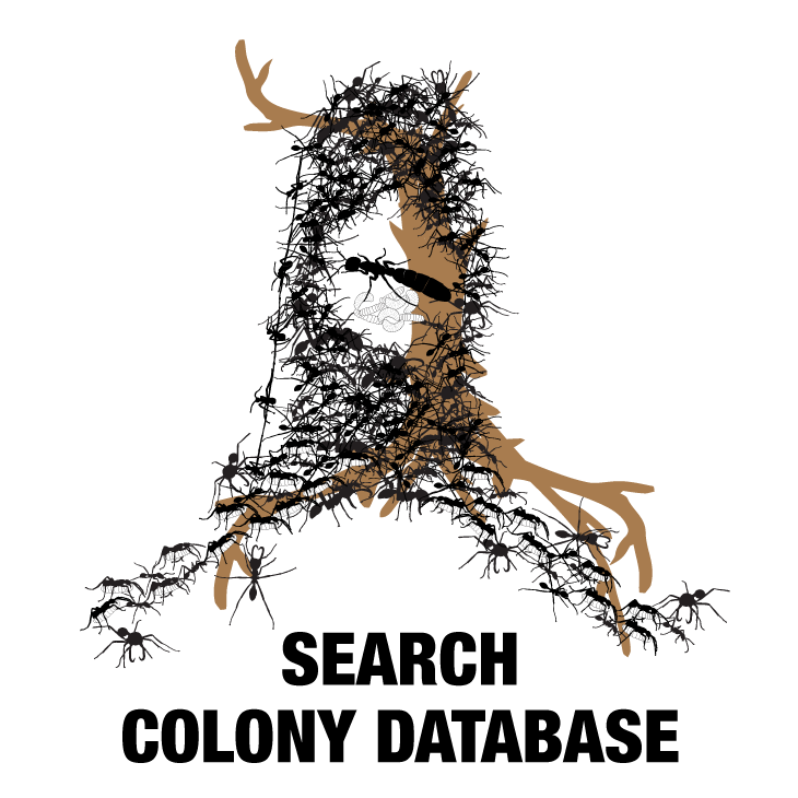 A digital swarm of army ants creating a small bivouac. Links to Search Colony Database